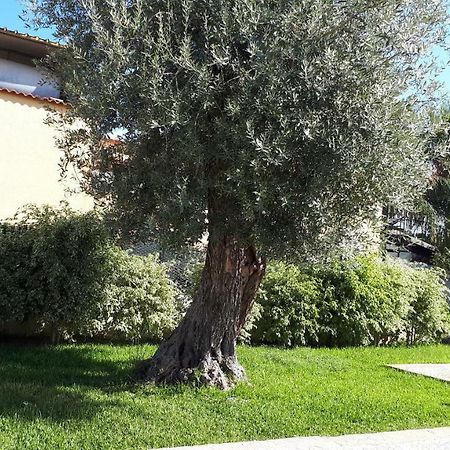 Altomare Ξενοδοχείο Αουγκούστα Εξωτερικό φωτογραφία